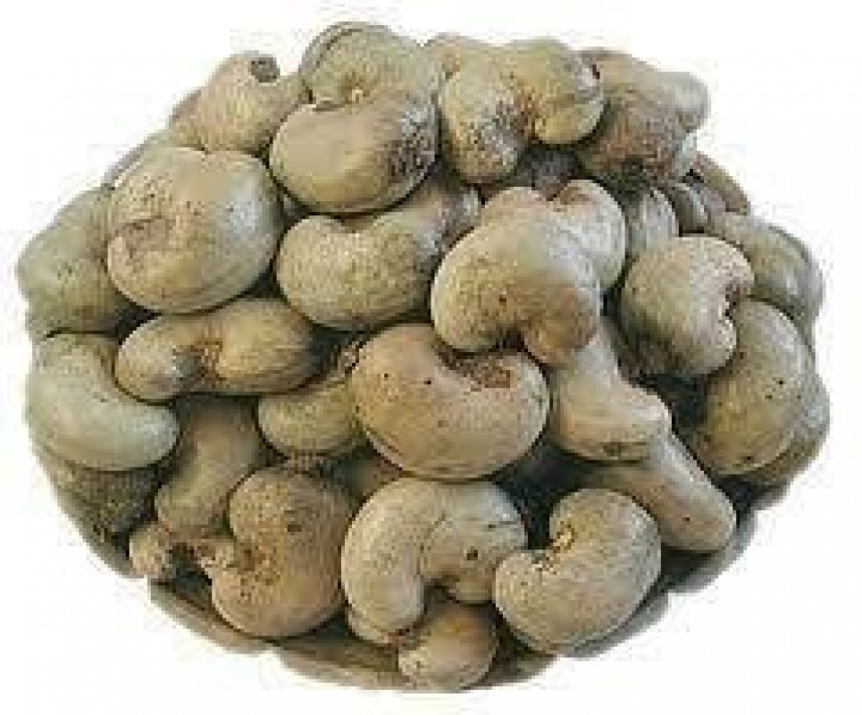 Raw Cashew Nuts In Shell from Nigeria